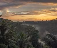 Villa Hartland Estate, Die Sicht vom Joglo Zimmer